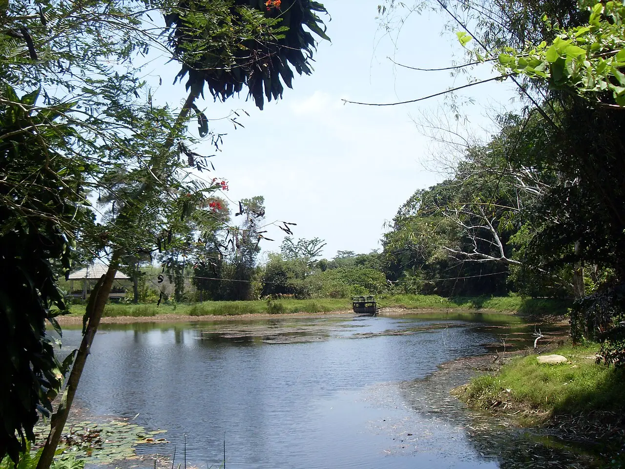Natur nära Bang Pae-vattenfallet på Phuket